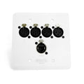 SoundTools Wall CAT 5 Female XLR White – 4-Channel Audio Over Shielded CAT Wall Plate with etherCON – Solderless XLR Panel for Analog/AES3/DMX Signals for Studio, Stage & AV Use