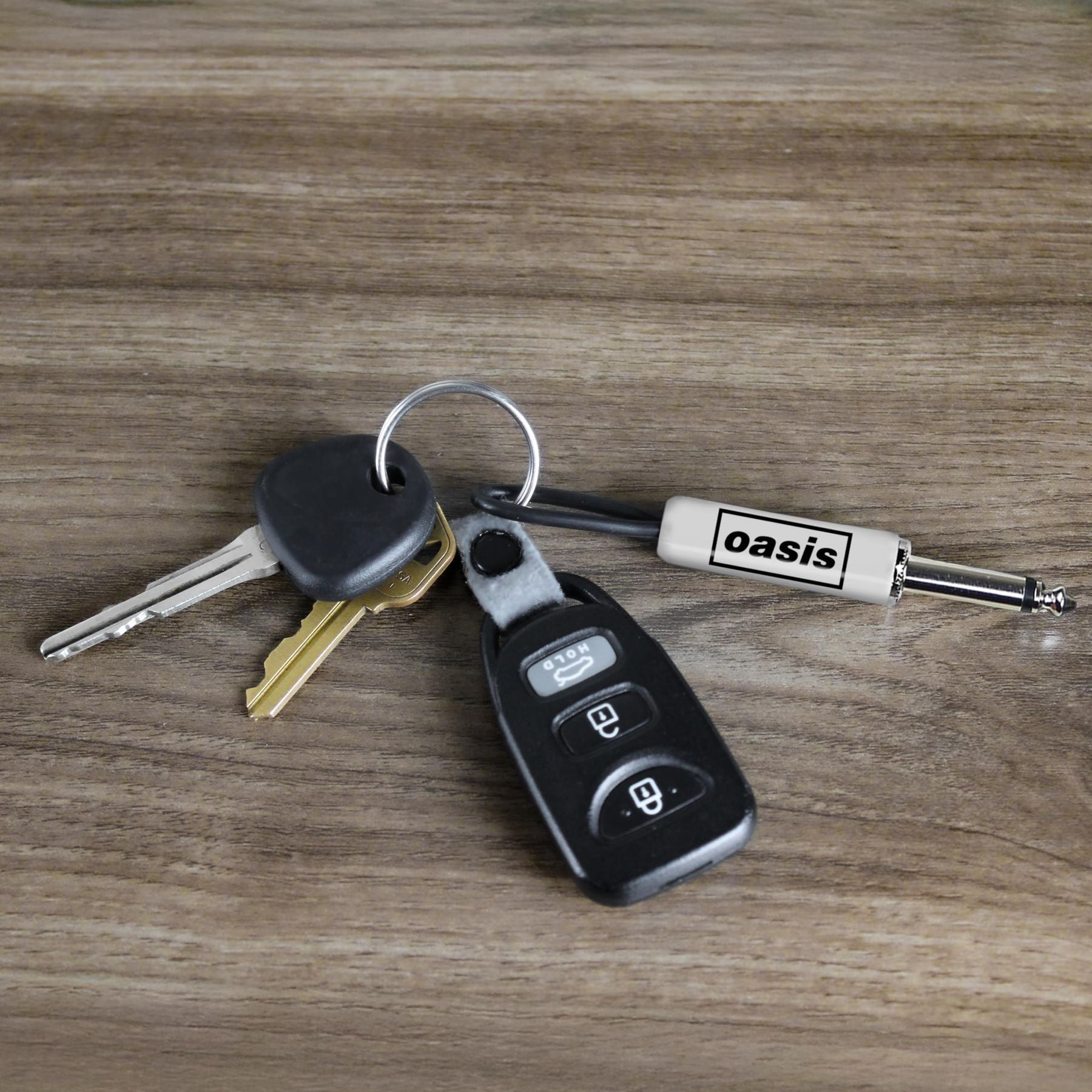 Pluginz Guitar Plug Keychains (Oasis 2 pack) — Slide 2 of 4