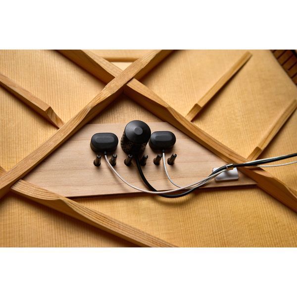 HiFi Duet